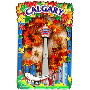 Liquid Motion Magnet - Calgary