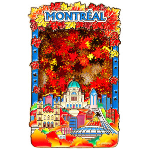 Liquid Motion Magnet - Montreal